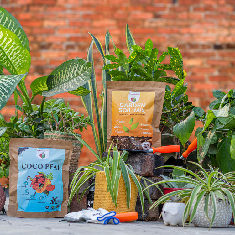 gardening-accessories Plantncr