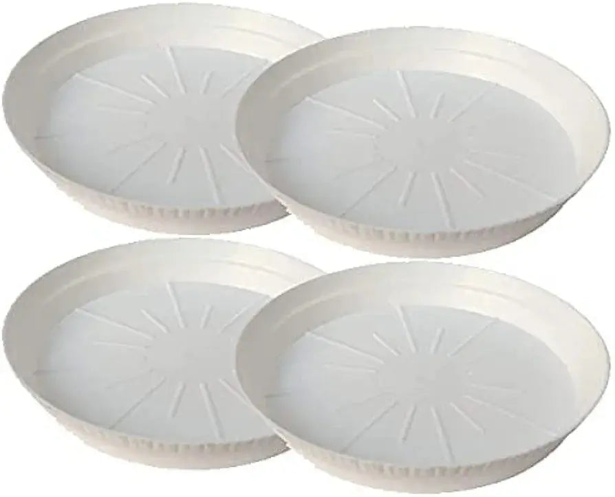 6 Inch White plastic plate - Plantncr White plastic plates