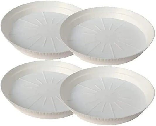 6 Inch White plastic plate - Plantncr White plastic plates