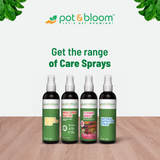 Mealy Bug Buster + Flower Boost Spray (100ml) - Organic Pest Control & Bloom Enhancer