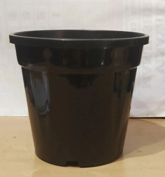 10 inch black plastic pot Plantncr