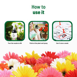 Flower Boost Spray (100ml) - Liquid Fertilizer for More & Bigger Blooms