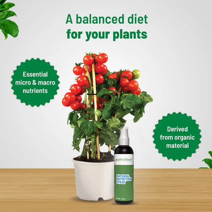 Natural Nutrition Spray (100ml) - Balanced Liquid Fertilizer for All Plants