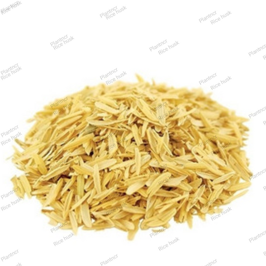 250gm. Rice husk (Dhaan ki bhushi)