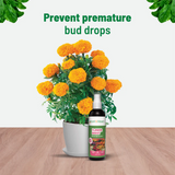 Mealy Bug Buster + Flower Boost Spray (100ml) - Organic Pest Control & Bloom Enhancer