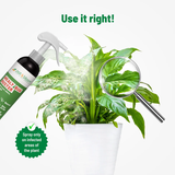 Mealy Bug Buster Spray (100ml) - All-Natural Organic Pest Control for Mealybugs