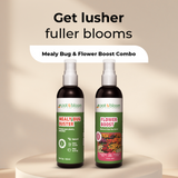 Mealy Bug Buster + Flower Boost Spray (100ml) - Organic Pest Control & Bloom Enhancer