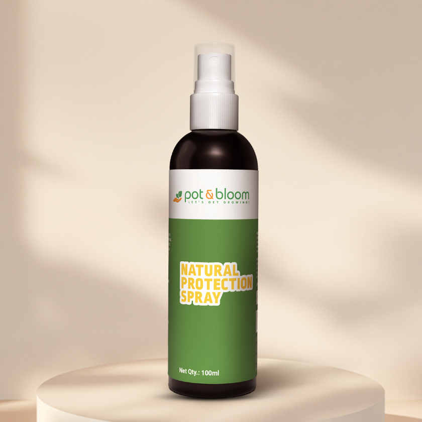 Natural Protection Spray (100ml) - Organic Pest Shield & Immunity Booster