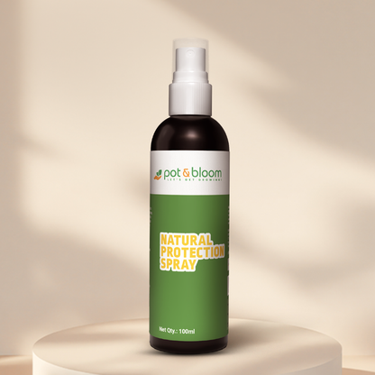 Natural Protection Spray (100ml) - Organic Pest Shield & Immunity Booster