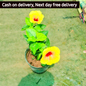 Yellow hibiscus In 6 inch pot Plantncr