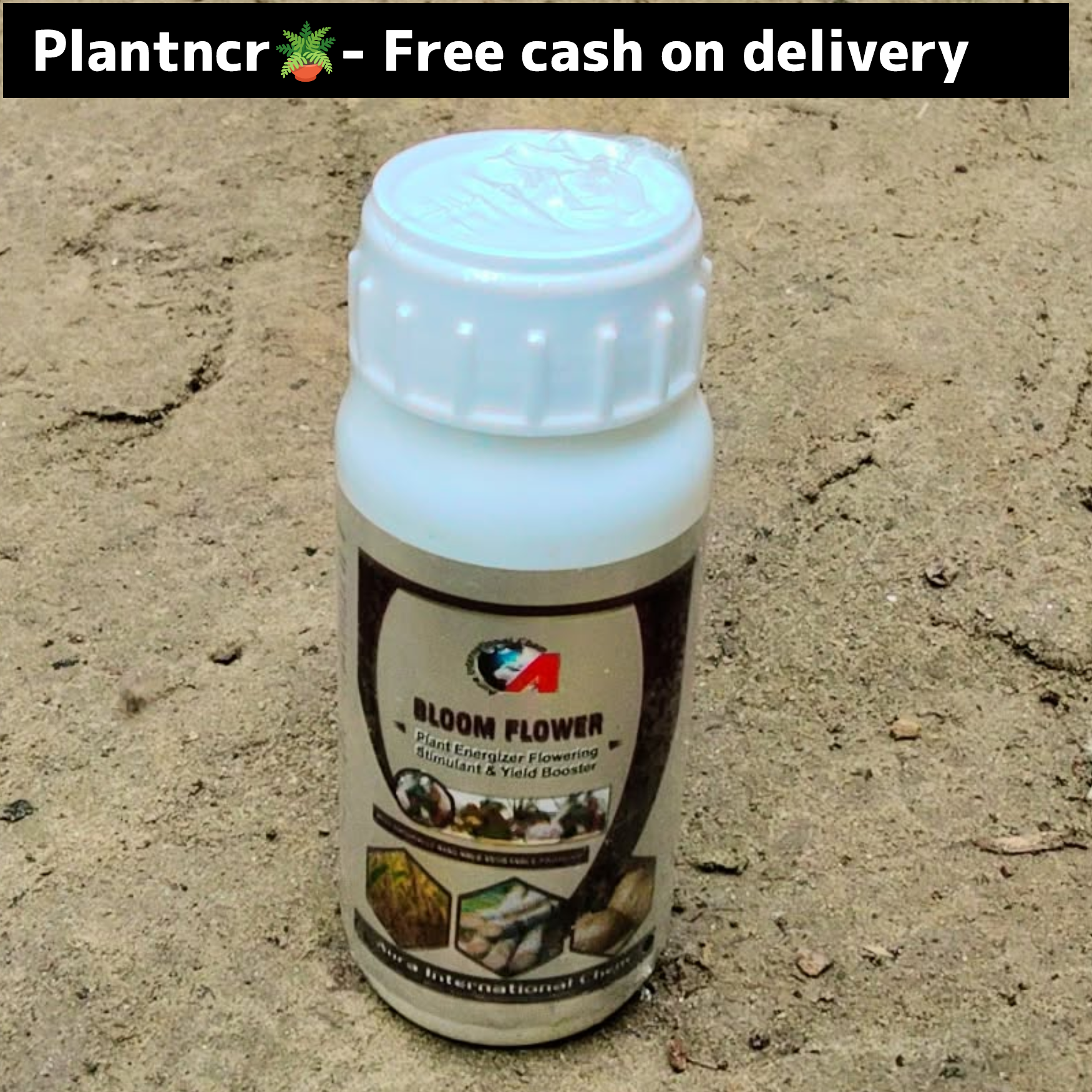 Bloom flower (spray for flowering) 10ml Plantncr
