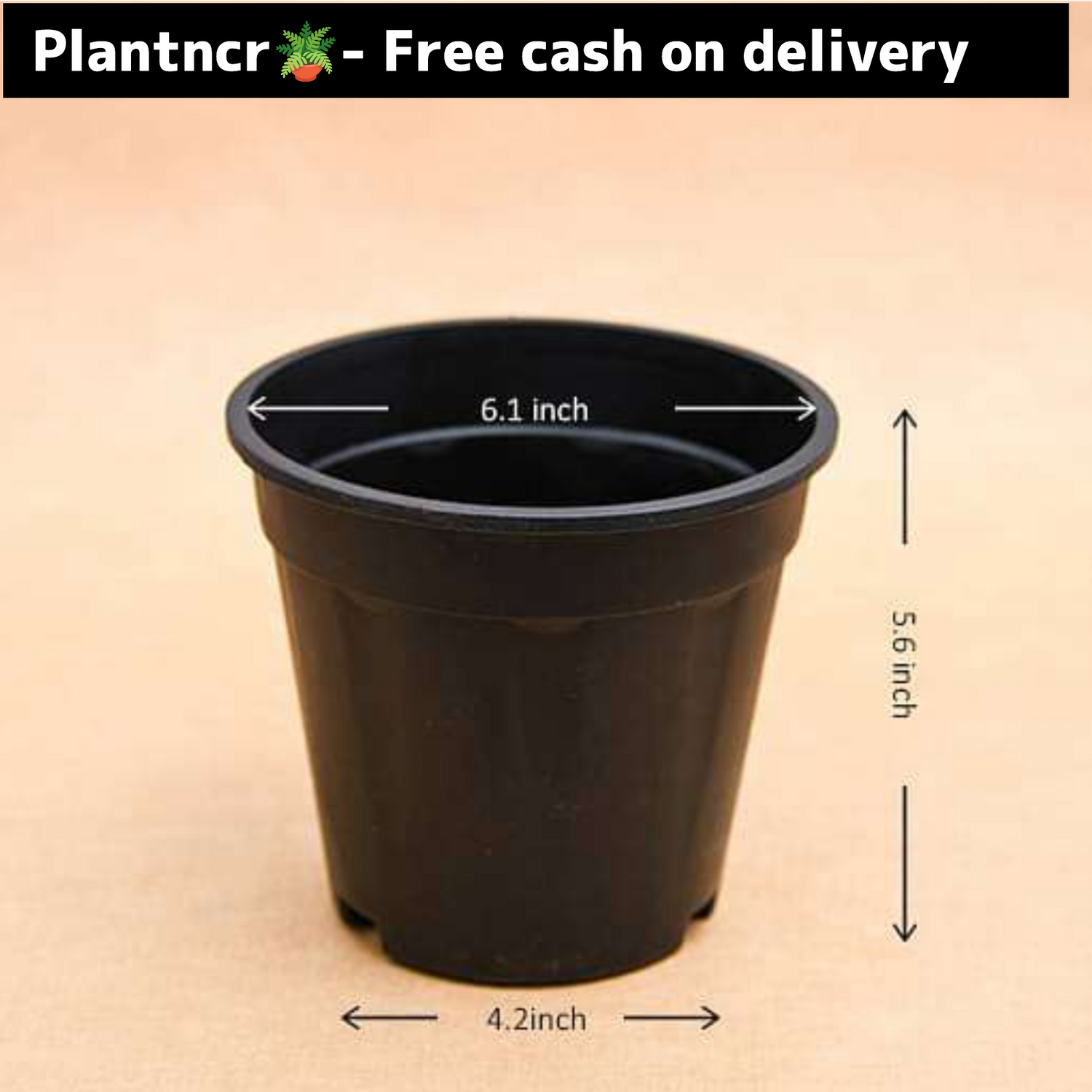 6 inch black plastic pot Plantncr