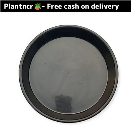 6 inch Black plastic plate Plantncr