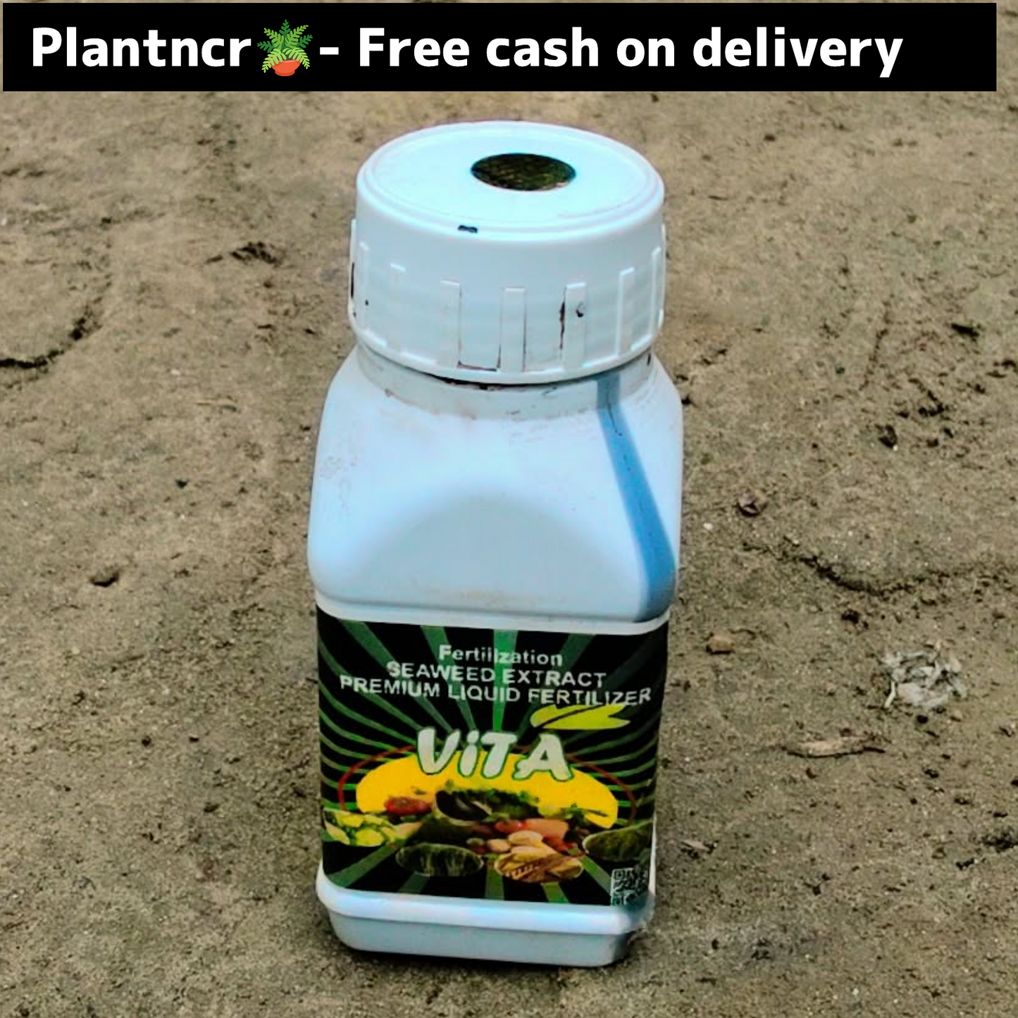 Vita Seaweed Extract