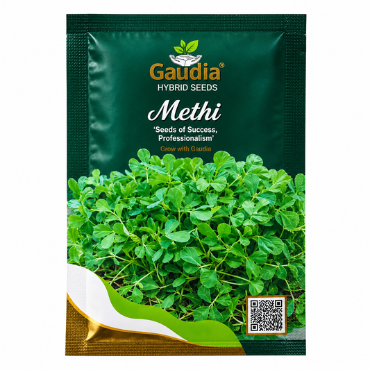 Methi Hybrid Vegitable Seeds