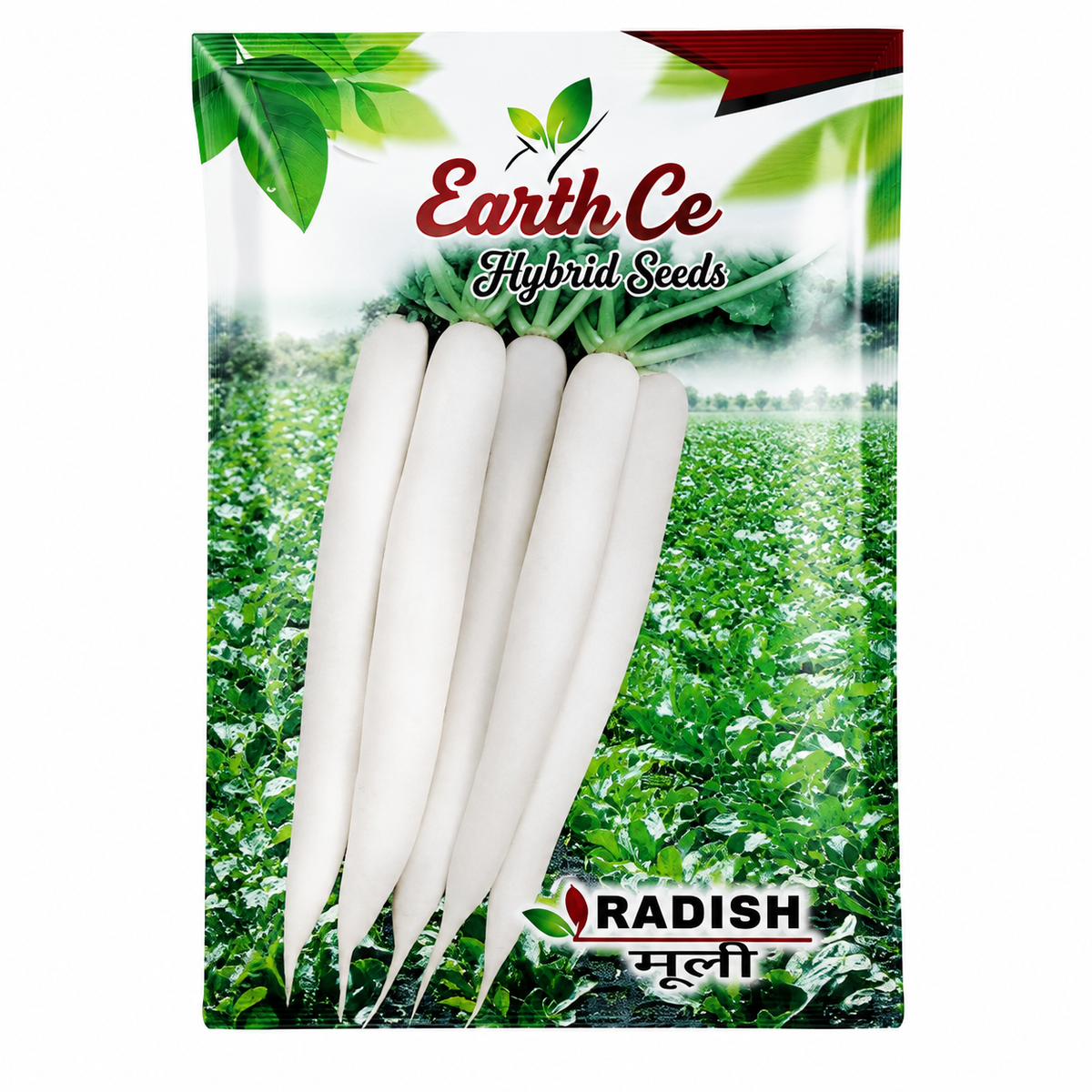 Radish Hybrid Vegitable Seeds