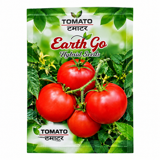 Tomato Hybrid vegitable seeds