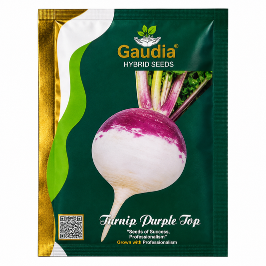 Turnip Purple Top Hybrid Vegitable Seeds