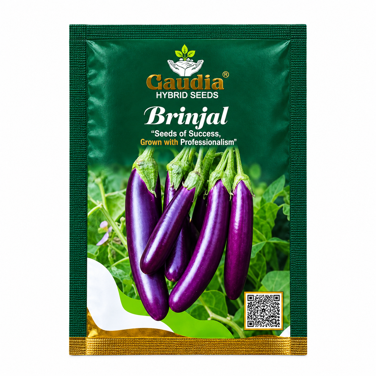 Brinjal Seeds-Hybrid seeds