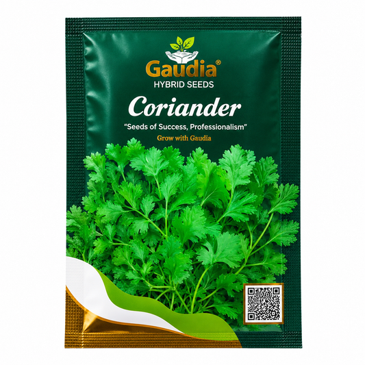 Coriander Hybrid Vegitable Seeds