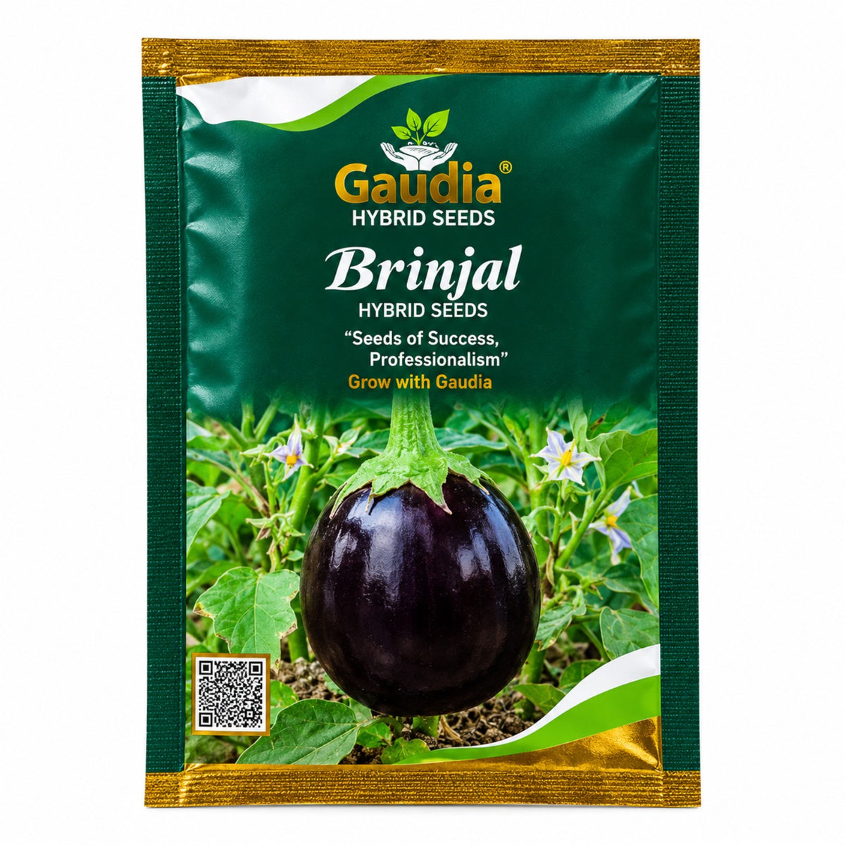 Brinjal Hybrid Vegitable Seeds