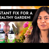 Mealy Bug Buster + Flower Boost Spray (100ml) - Organic Pest Control & Bloom Enhancer